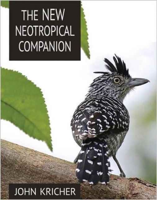 The New Neotropical Companion, Paperback / softback Book