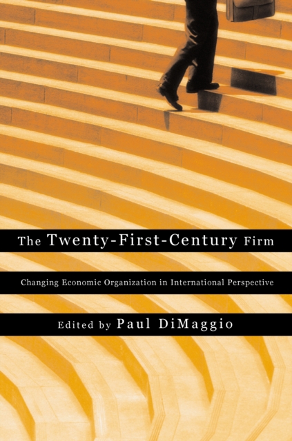 The Twenty-First-Century Firm : Changing Economic Organization in International Perspective, Paperback / softback Book