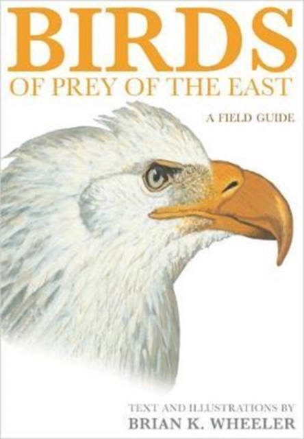 Birds of Prey of the East : A Field Guide, Paperback / softback Book