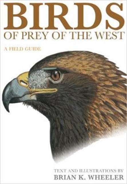 Birds of Prey of the West : A Field Guide, Paperback / softback Book