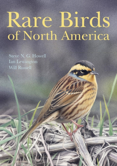 Rare Birds of North America, Hardback Book