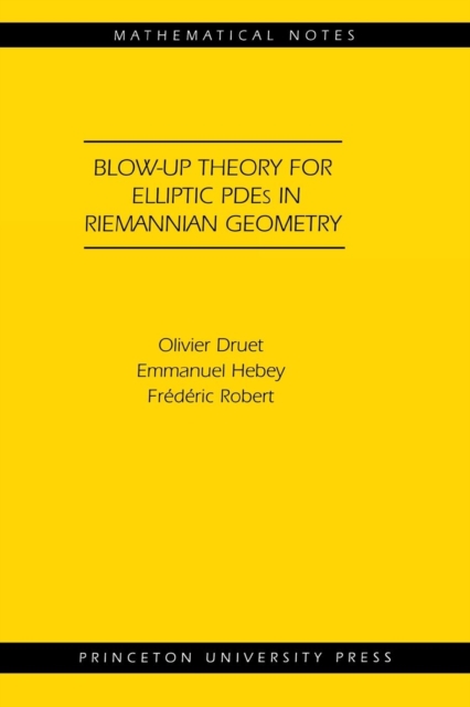 Blow-up Theory for Elliptic PDEs in Riemannian Geometry (MN-45), Paperback / softback Book