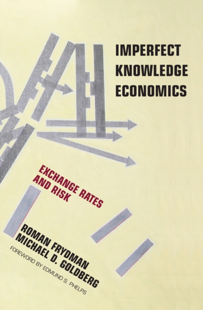 Imperfect Knowledge Economics : Exchange Rates and Risk, Hardback Book