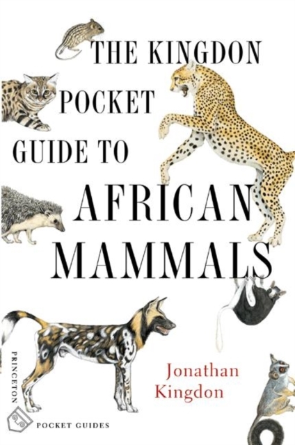 The Kingdon Pocket Guide to African Mammals, Paperback Book