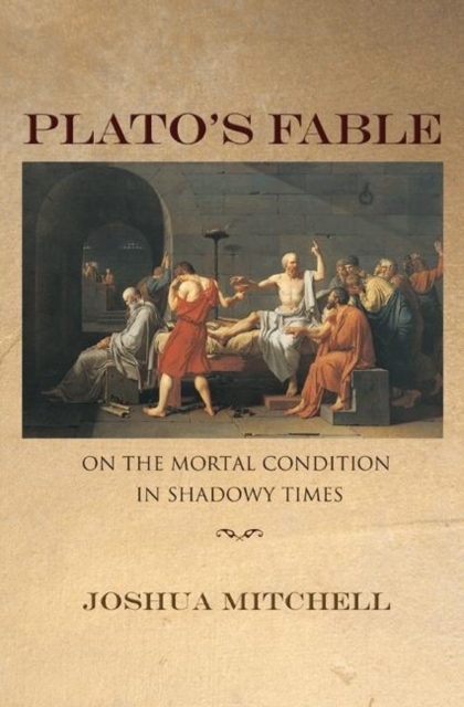 Plato's Fable : On the Mortal Condition in Shadowy Times, Hardback Book