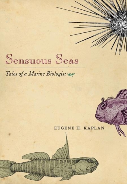 Sensuous Seas : Tales of a Marine Biologist, Hardback Book