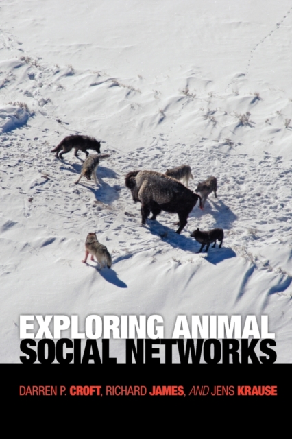 Exploring Animal Social Networks, Paperback / softback Book