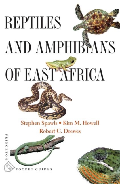 Reptiles and Amphibians of East Africa, Paperback Book