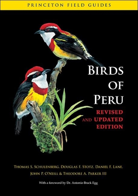 Birds of Peru, Paperback Book