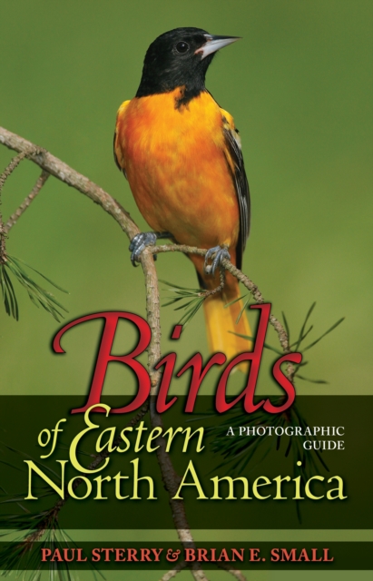 Birds of Eastern North America : A Photographic Guide, Paperback / softback Book