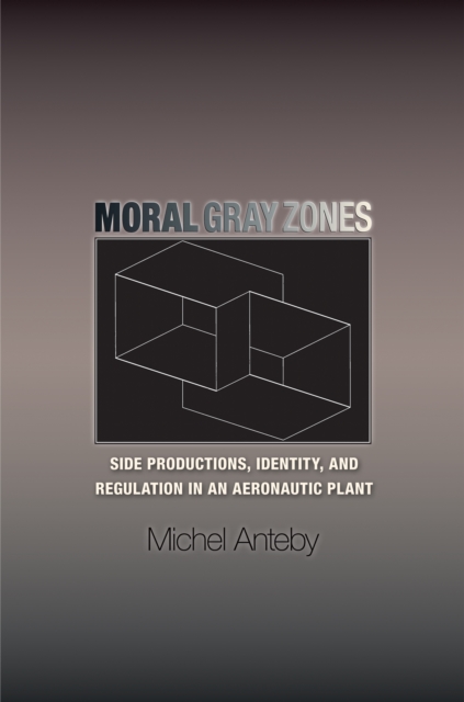 Moral Gray Zones : Side Productions, Identity, and Regulation in an Aeronautic Plant, Hardback Book