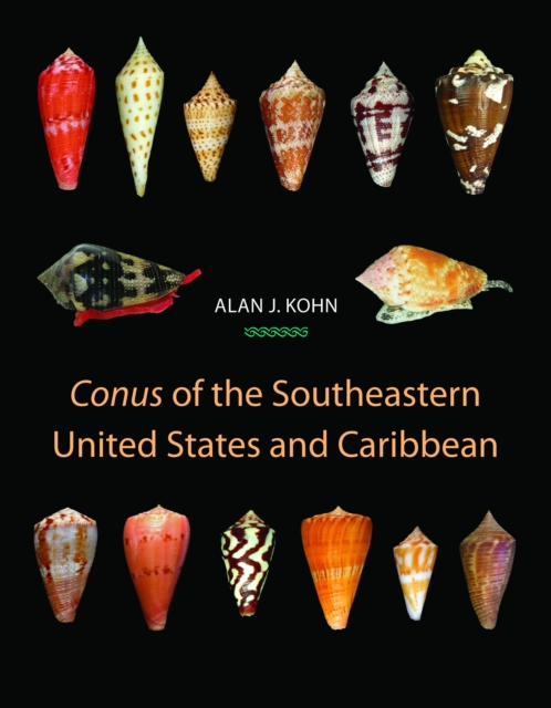 Conus of the Southeastern United States and Caribbean, Hardback Book