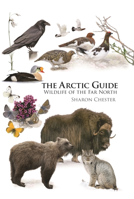 The Arctic Guide : Wildlife of the Far North, Hardback Book
