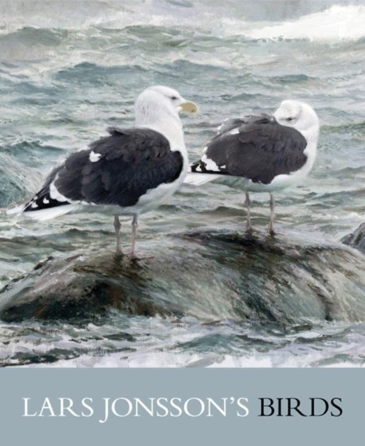 Lars Jonsson's Birds : Paintings from a Near Horizon, Hardback Book