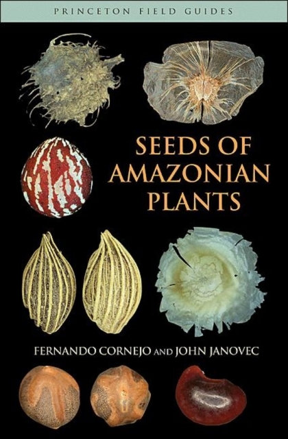 Seeds of Amazonian Plants, Paperback / softback Book