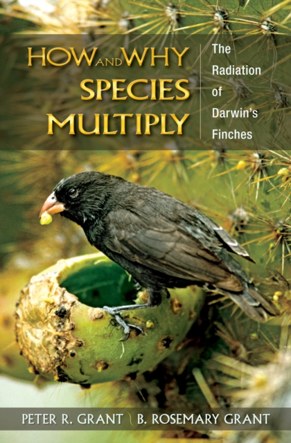 How and Why Species Multiply : The Radiation of Darwin's Finches, Paperback / softback Book