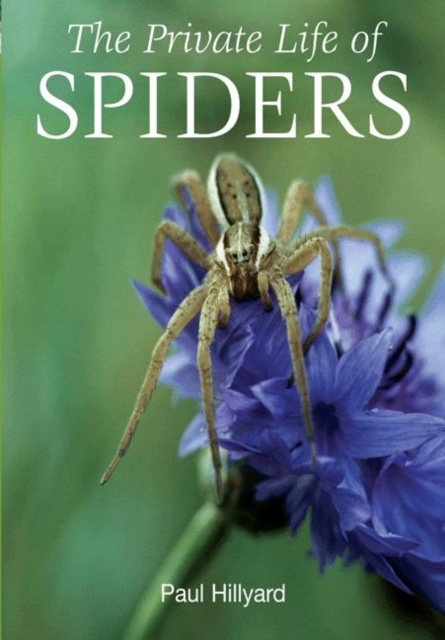 The Private Life of Spiders, Paperback Book