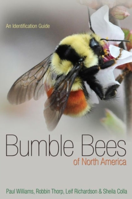 Bumble Bees of North America : An Identification Guide, Paperback / softback Book