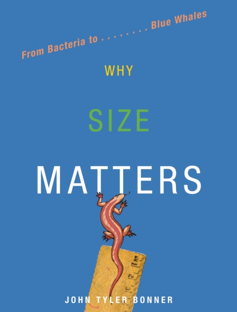 Why Size Matters : From Bacteria to Blue Whales, Paperback / softback Book