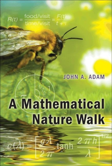 A Mathematical Nature Walk, Paperback / softback Book