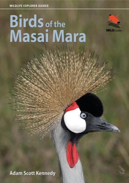 Birds of the Masai Mara, Paperback / softback Book