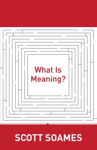 What Is Meaning?, Paperback / softback Book