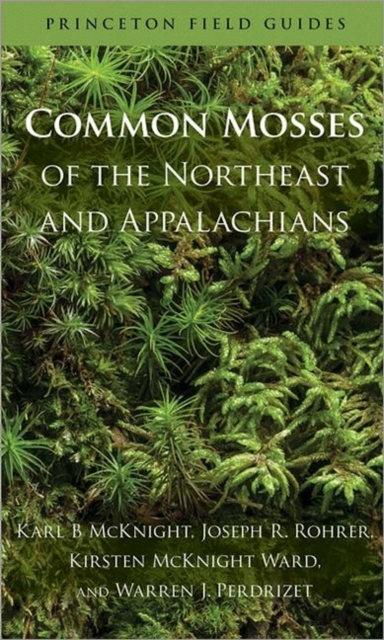 Common Mosses of the Northeast and Appalachians, Paperback / softback Book