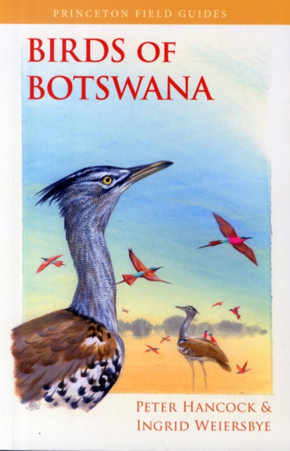 Birds of Botswana, Paperback / softback Book