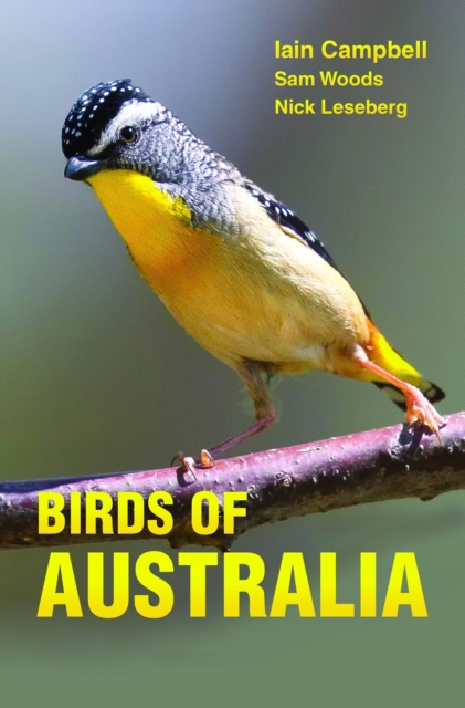 Birds of Australia : A Photographic Guide, Paperback / softback Book
