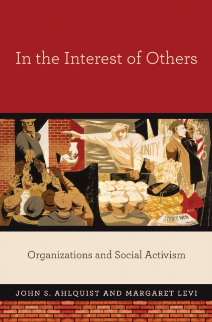 In the Interest of Others : Organizations and Social Activism, Paperback / softback Book