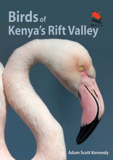 Birds of Kenya's Rift Valley, Paperback / softback Book