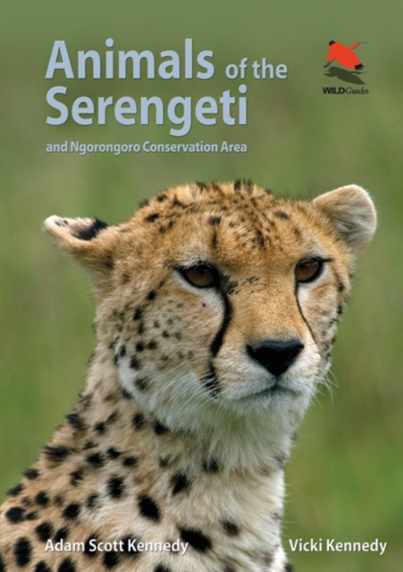 Animals of the Serengeti : And Ngorongoro Conservation Area, Paperback / softback Book