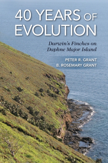 40 Years of Evolution : Darwin's Finches on Daphne Major Island, Hardback Book