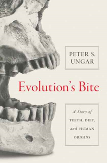 Evolution's Bite : A Story of Teeth, Diet, and Human Origins, Hardback Book