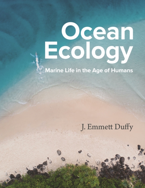Ocean Ecology : Marine Life in the Age of Humans, Hardback Book
