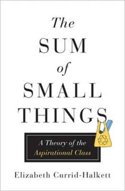 The Sum of Small Things : A Theory of the Aspirational Class, Hardback Book