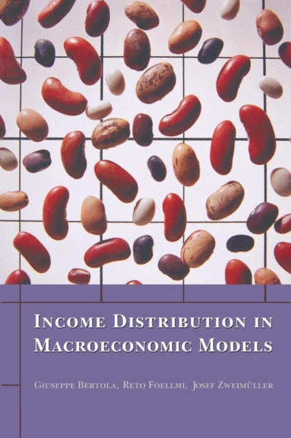 Income Distribution in Macroeconomic Models, Paperback / softback Book