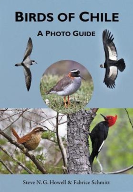 Birds of Chile : A Photo Guide, Paperback / softback Book