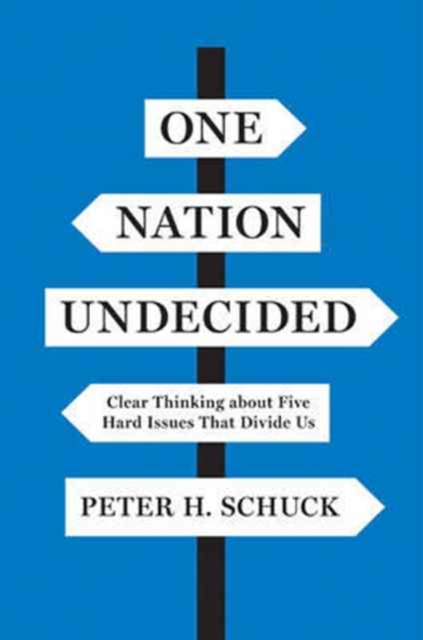 One Nation Undecided : Clear Thinking about Five Hard Issues That Divide Us, Hardback Book