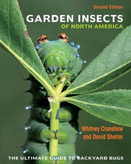 Garden Insects of North America : The Ultimate Guide to Backyard Bugs - Second Edition, Paperback / softback Book
