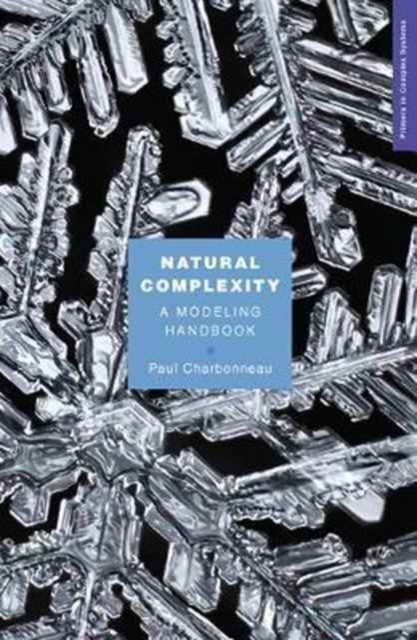 Natural Complexity : A Modeling Handbook, Paperback / softback Book
