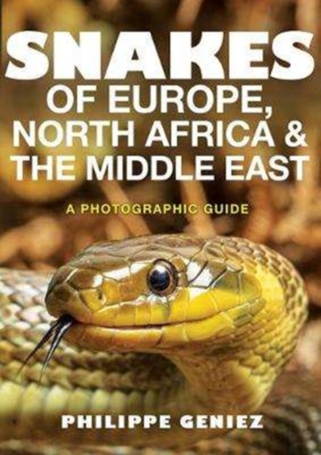 Snakes of Europe, North Africa and the Middle East : A Photographic Guide, Paperback / softback Book
