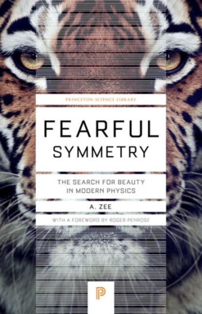 Fearful Symmetry : The Search for Beauty in Modern Physics, Paperback / softback Book