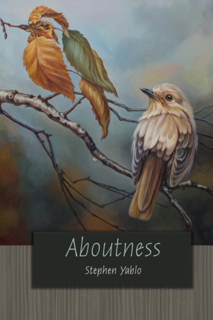 Aboutness, Paperback / softback Book