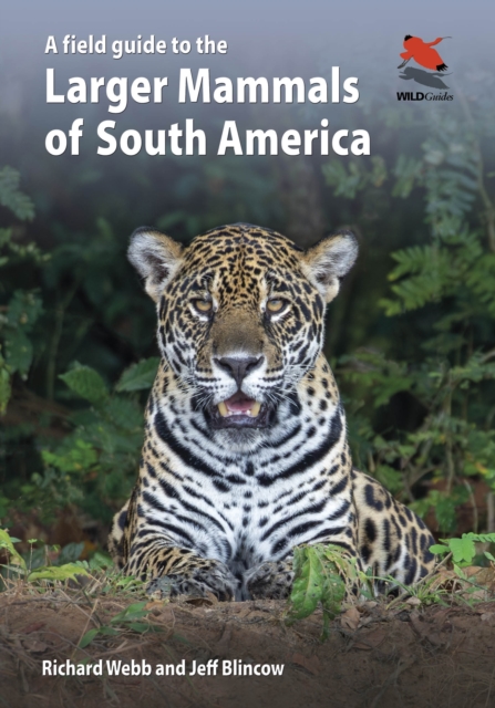 A Field Guide to the Larger Mammals of South America, Paperback / softback Book