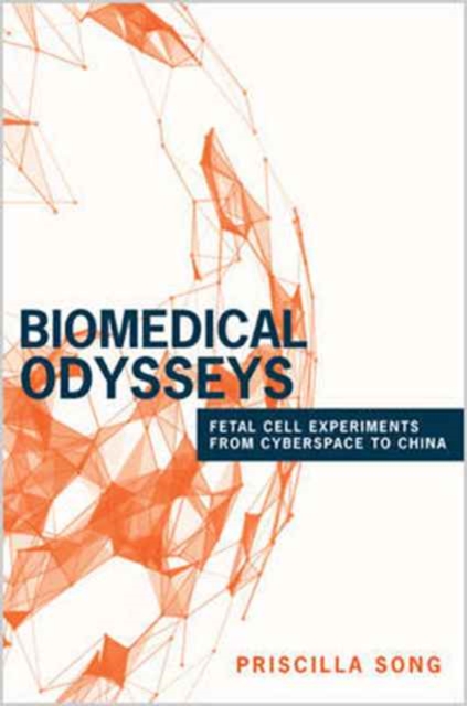 Biomedical Odysseys : Fetal Cell Experiments from Cyberspace to China, Paperback / softback Book