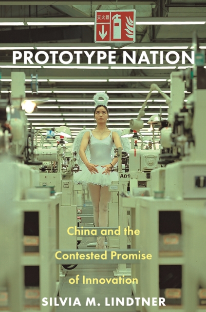 Prototype Nation : China and the Contested Promise of Innovation, Hardback Book