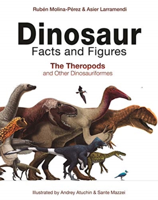 Dinosaur Facts and Figures : The Theropods and Other Dinosauriformes, Hardback Book