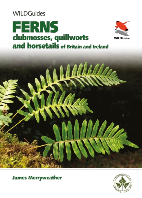 Ferns : Clubmosses, Quillworts and Horsetails of Britain and Ireland, Paperback / softback Book