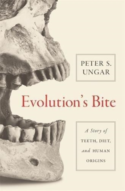 Evolution's Bite : A Story of Teeth, Diet, and Human Origins, Paperback / softback Book